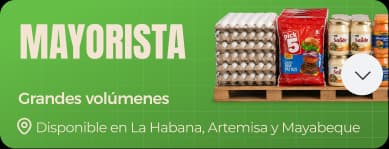 Mayorista