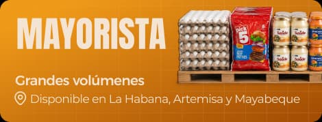 Mayorista